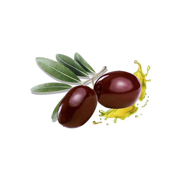 Uslu Style Olives700 GR