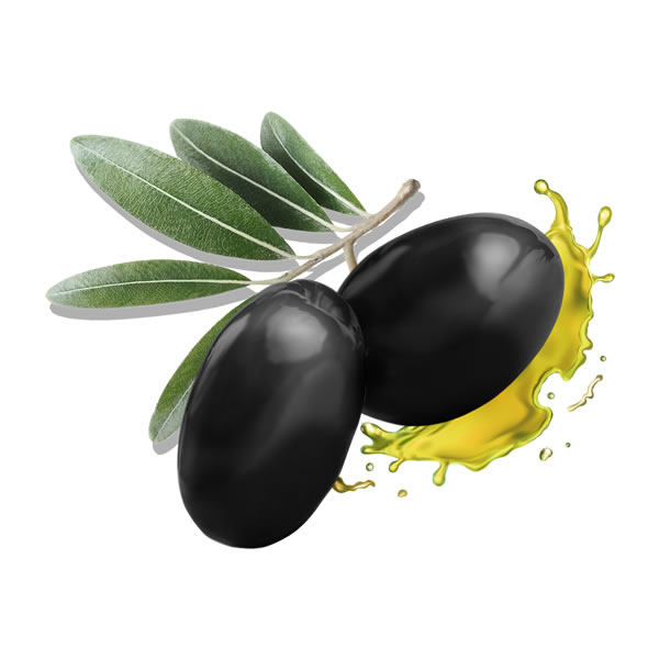 Black Olives in Brine3,5 KG